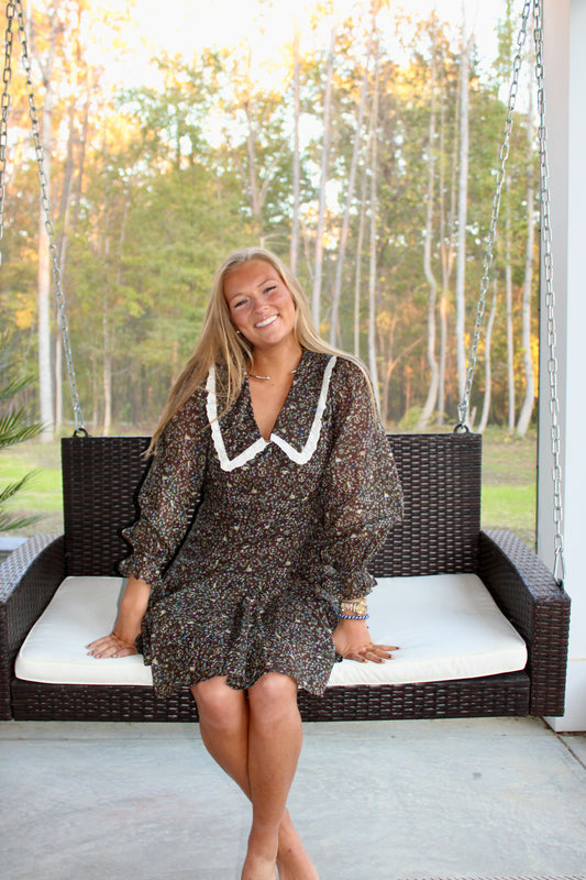 Eyelet Collared Dress